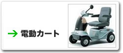 �d���J�[�g